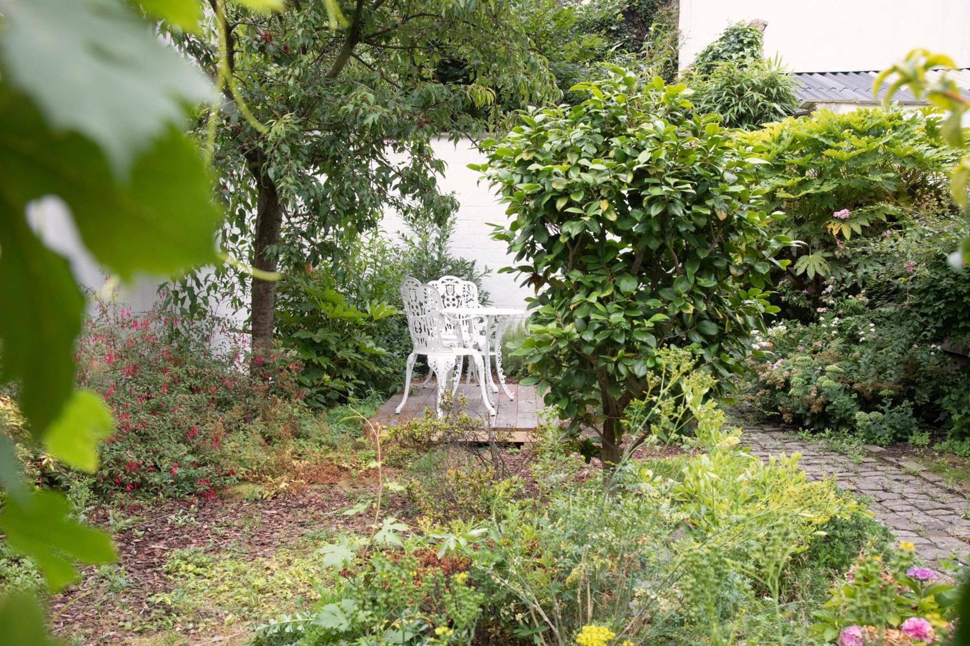 The Greenhouse Amberes Exterior foto